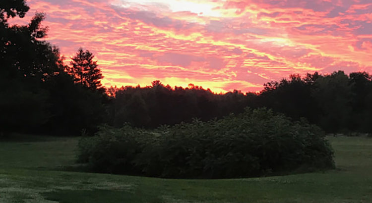 Patriot Golf Club