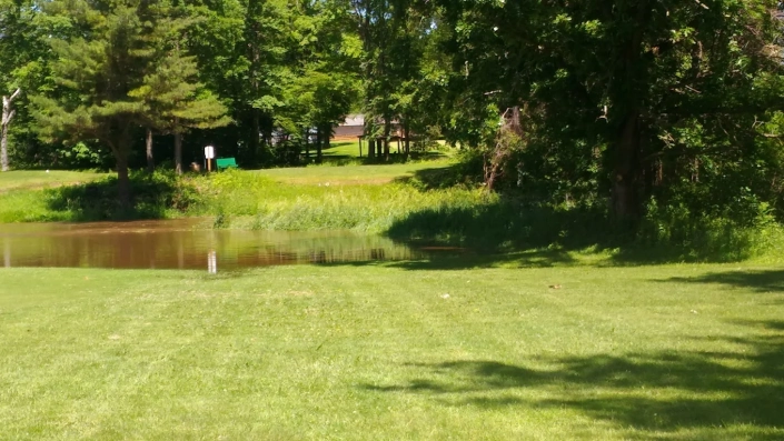 Patriot Golf11